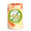 Aroma Naturals Say Goodbye to Bugs 2x3 Inch Pillar Candle with Essential Oils - Citronella Plus, 1 ct, Aroma Naturals