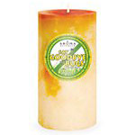 Aroma Naturals Say Goodbye to Bugs 3x6 Inch Pillar Candle with Essential Oils - Citronella Plus, 1 ct, Aroma Naturals