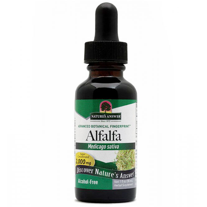Nature's Answer Alfalfa Alcohol Free Extract Liquid 1 oz from Nature's Answer