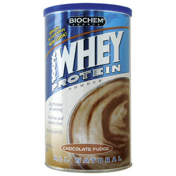 Biochem Sports Biochem Sports 100% Whey Protein - Chocolate Fudge 14.4 oz