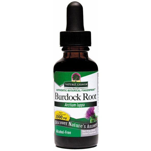 Nature's Answer Burdock Root Alcohol Free Extract Liquid 1 oz from Nature's Answer