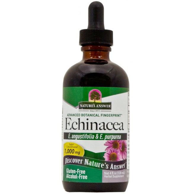 Nature's Answer Echinacea Alcohol Free Extract Liquid 4 oz from Nature's Answer