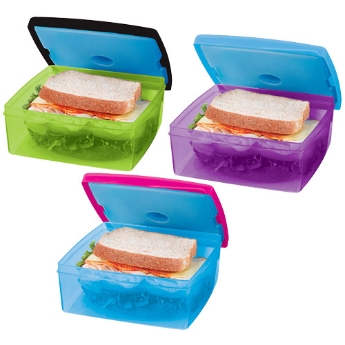 VitaMinder Fit & Fresh Kids Lunch POD, Lunch Box, Assorted Color, VitaMinder