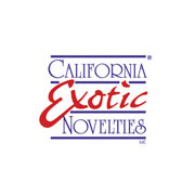 California Exotic Novelties Gina Lynn Playing Cards, California Exotic Novelties