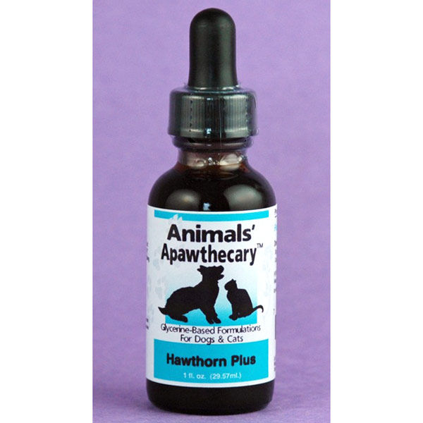Animal Essentials Animals' Apawthecary Hawthorn Plus Liquid for Dogs & Cats, 4 oz, Animal Essentials