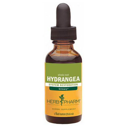Herb Pharm Hydrangea Extract Liquid, 1 oz, Herb Pharm