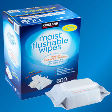 unknown Kirkland Signature Moist Flushable Wipes, Wet Toilet Paper, 600 Wipes
