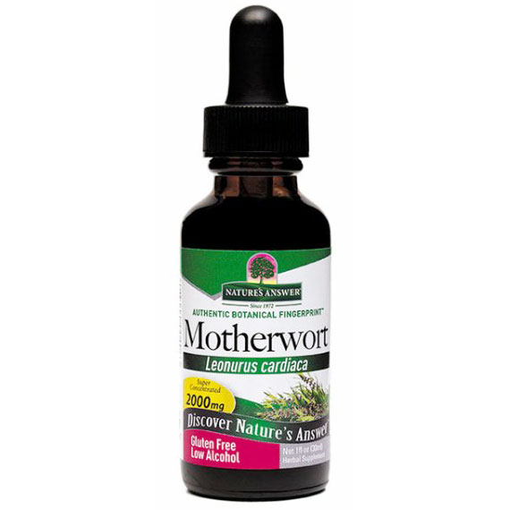 Nature's Answer Motherwort Herb Extract Liquid 1 oz from Nature's Answer