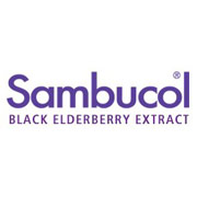 Sambucol Cold & Flu Night-Time Syrup, 4 oz, Sambucol