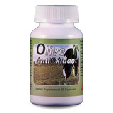 Grand Stone Corporation Olive Antioxidant, 100 mg, 60 Capsules, Grand Stone Corporation