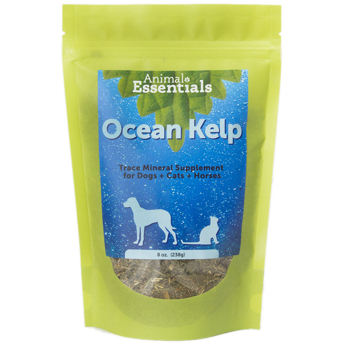 Animal Essentials Organic Ocean Kelp Supplement for Dogs & Cats, 8 oz, Animal Essentials