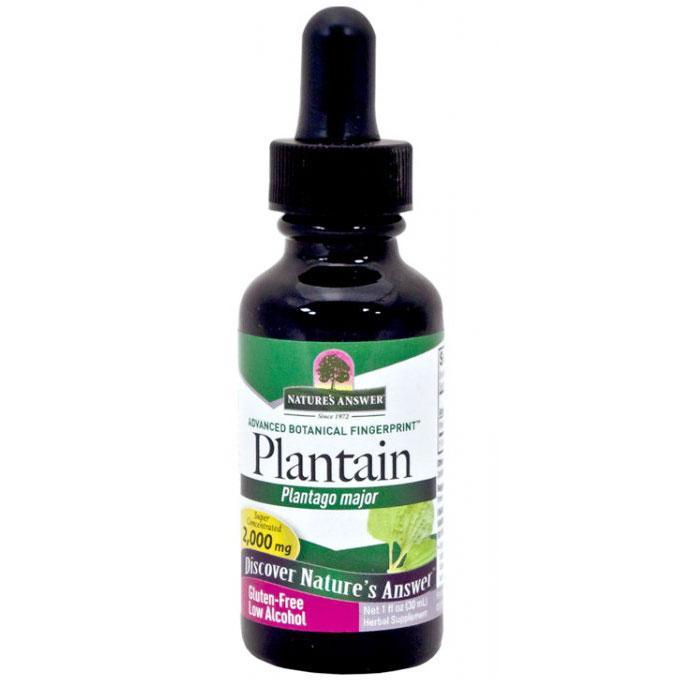 Nature's Answer Plantain Leaf Extract Liquid 1 oz from Nature's Answer
