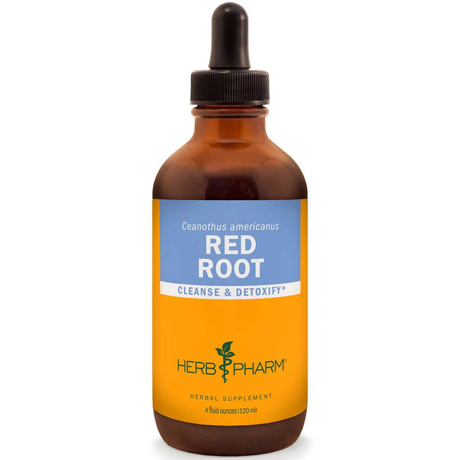 Herb Pharm Red Root Extract Liquid, 4 oz, Herb Pharm
