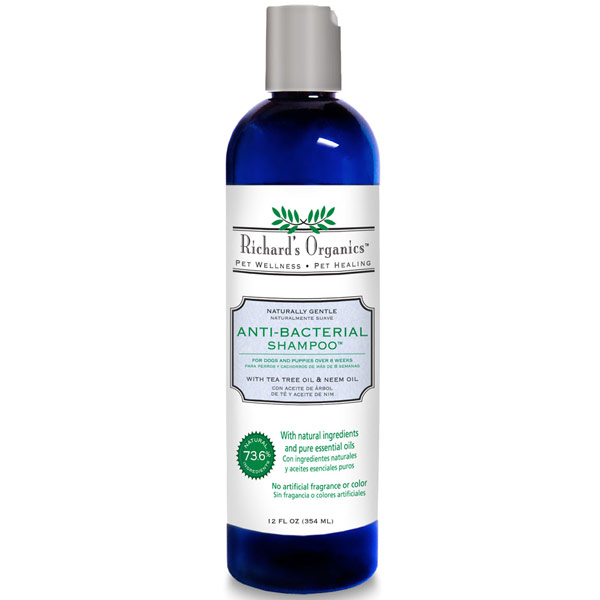 Synergy Labs Richard's Organics Anti-Bacterial Shampoo with Tea Tree Oil & Neem Oil, 12 oz, Synergy Labs