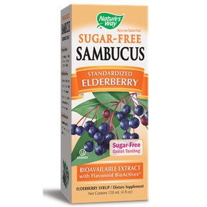 Nature's Way Sambucus Black Elderberry Sugar-Free Syrup, 4 oz, Nature's Way