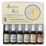 Flower Essence Services Seasons of the Soul Oils Gift Set, 2 oz x 6 pc, Flower Essence Services