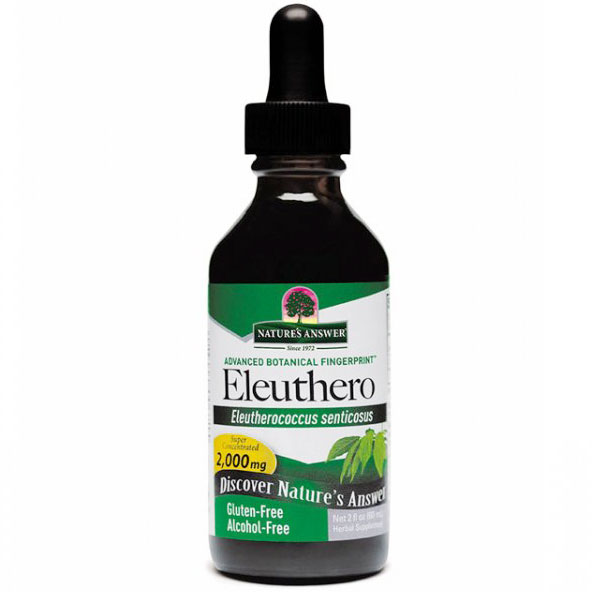 Nature's Answer Siberian Eleuthero (Siberian Ginseng) Alcohol Free Extract Liquid 2 oz from Nature's Answer