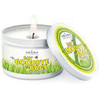 Aroma Naturals Say Goodbye to Bugs Soy VegePure Large Silver Tin Soy Candle with Essential Oils - Citronella Plus, 1 ct, Aroma Naturals